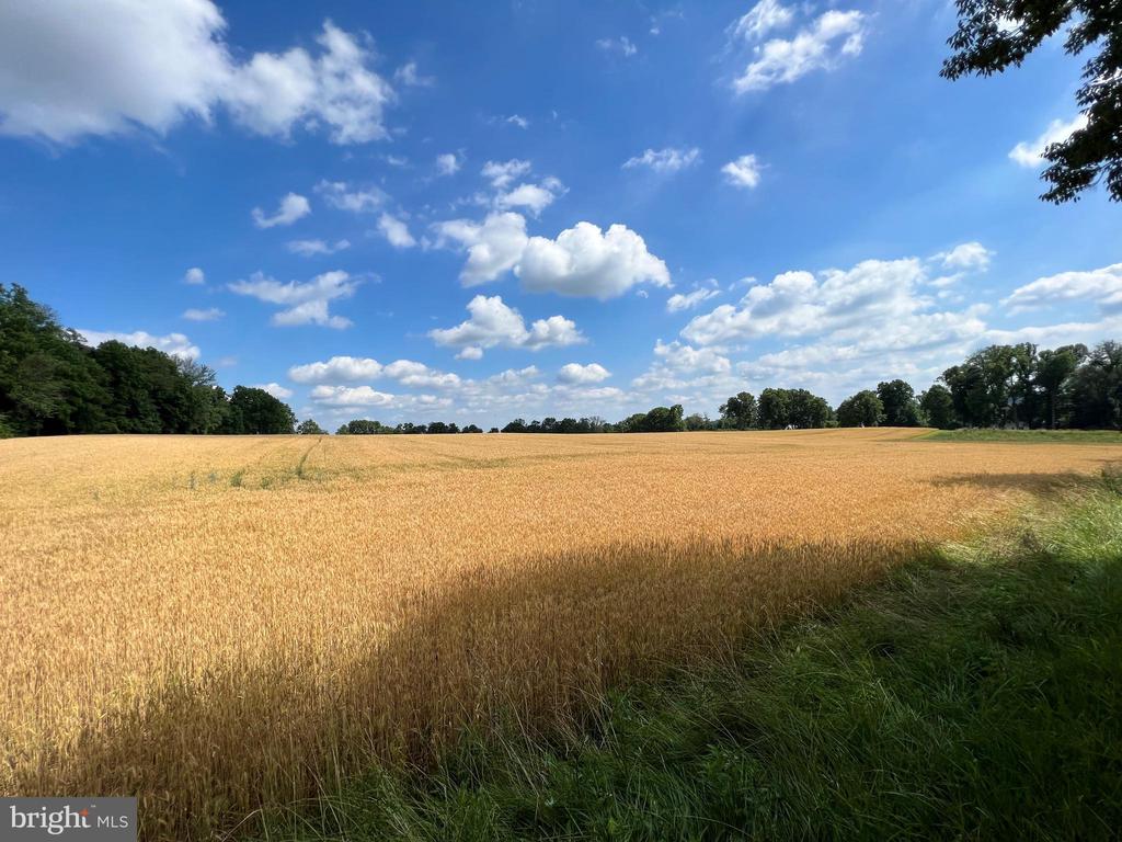 330 STONEY KNOLL LANE LOT 12
