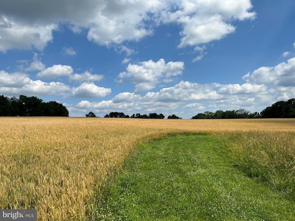 326 STONEY KNOLL LANE LOT 13