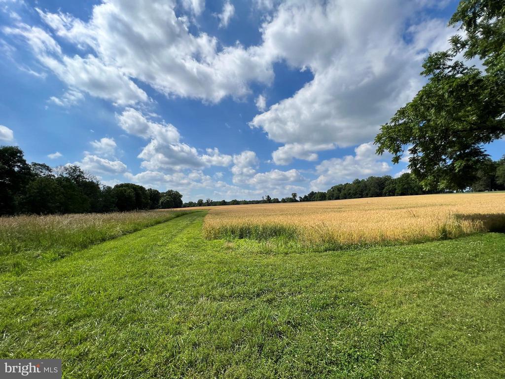 322 STONEY KNOLL LANE LOT 14