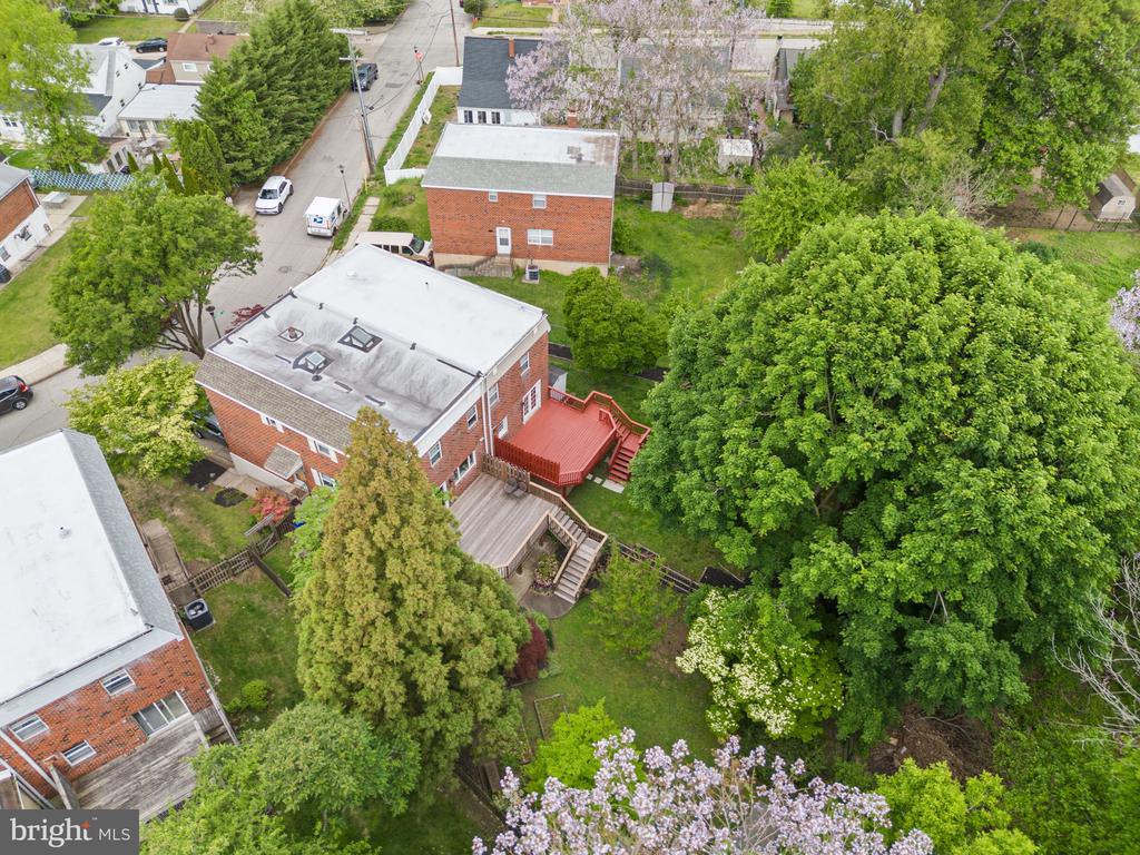 335 LEROY STREET