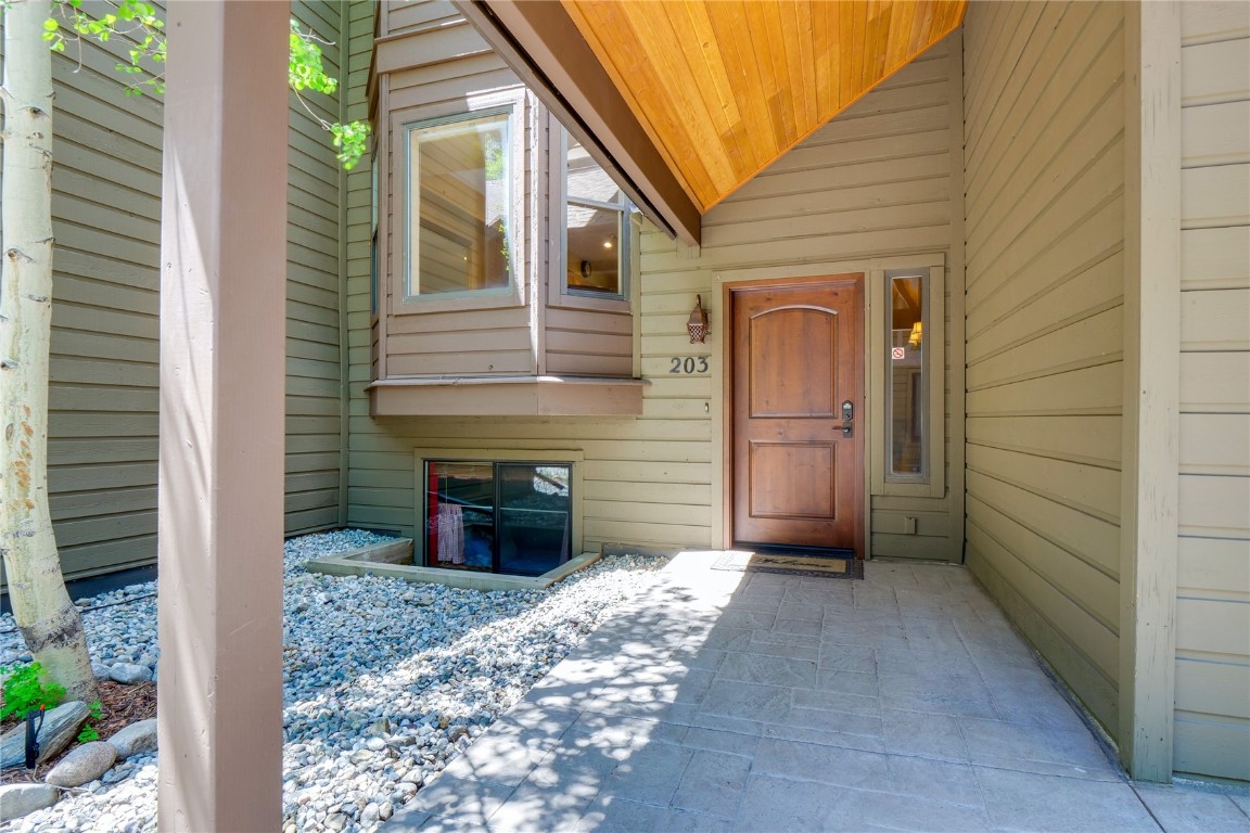 203 VILLAGE POINT Drive Unit: 203