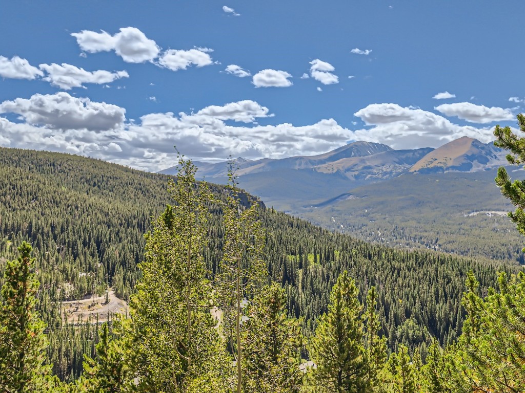 22 Charter Ridge COURT 9