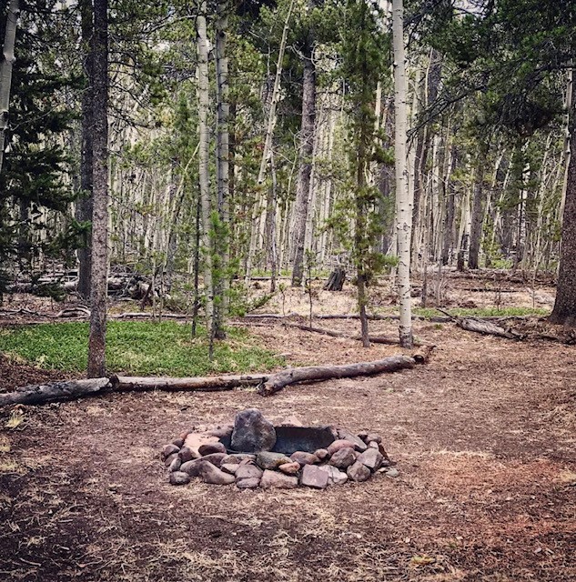 61 Squirrel Tail COURT