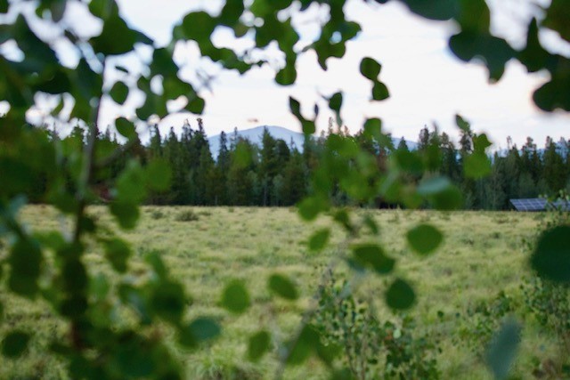 61 Squirrel Tail COURT