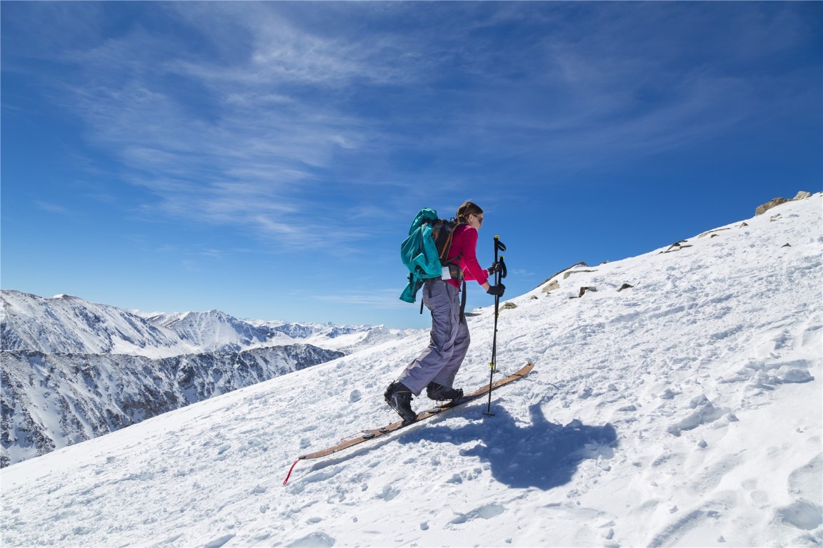 61 Squirrel Tail COURT