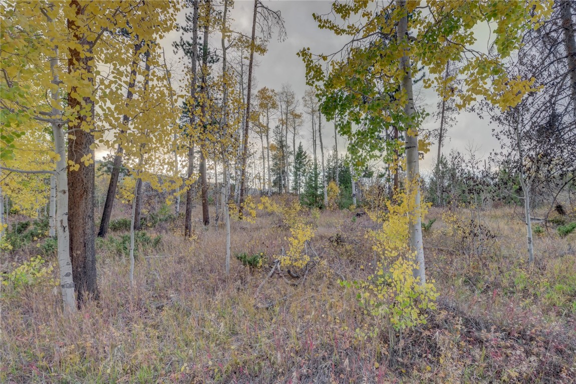 33005 Maricopa TRAIL