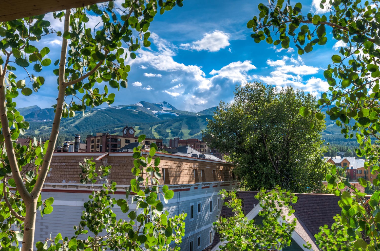 401 S Ridge STREET 21