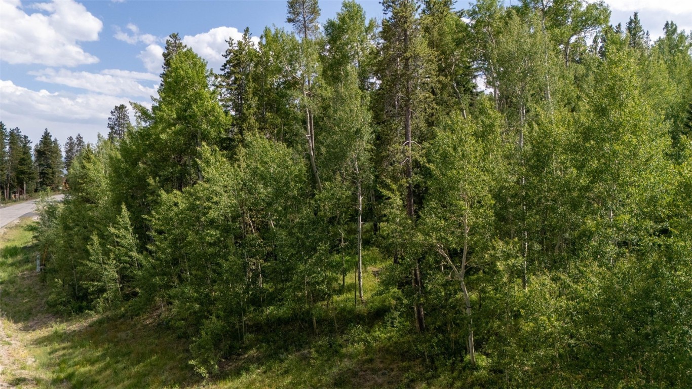 190 Easy Bend TRAIL