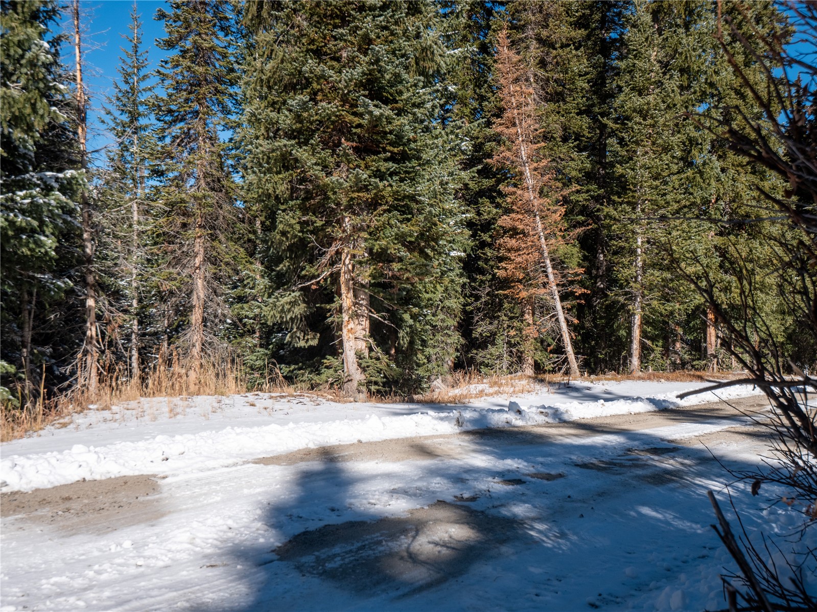 387 County Road 674