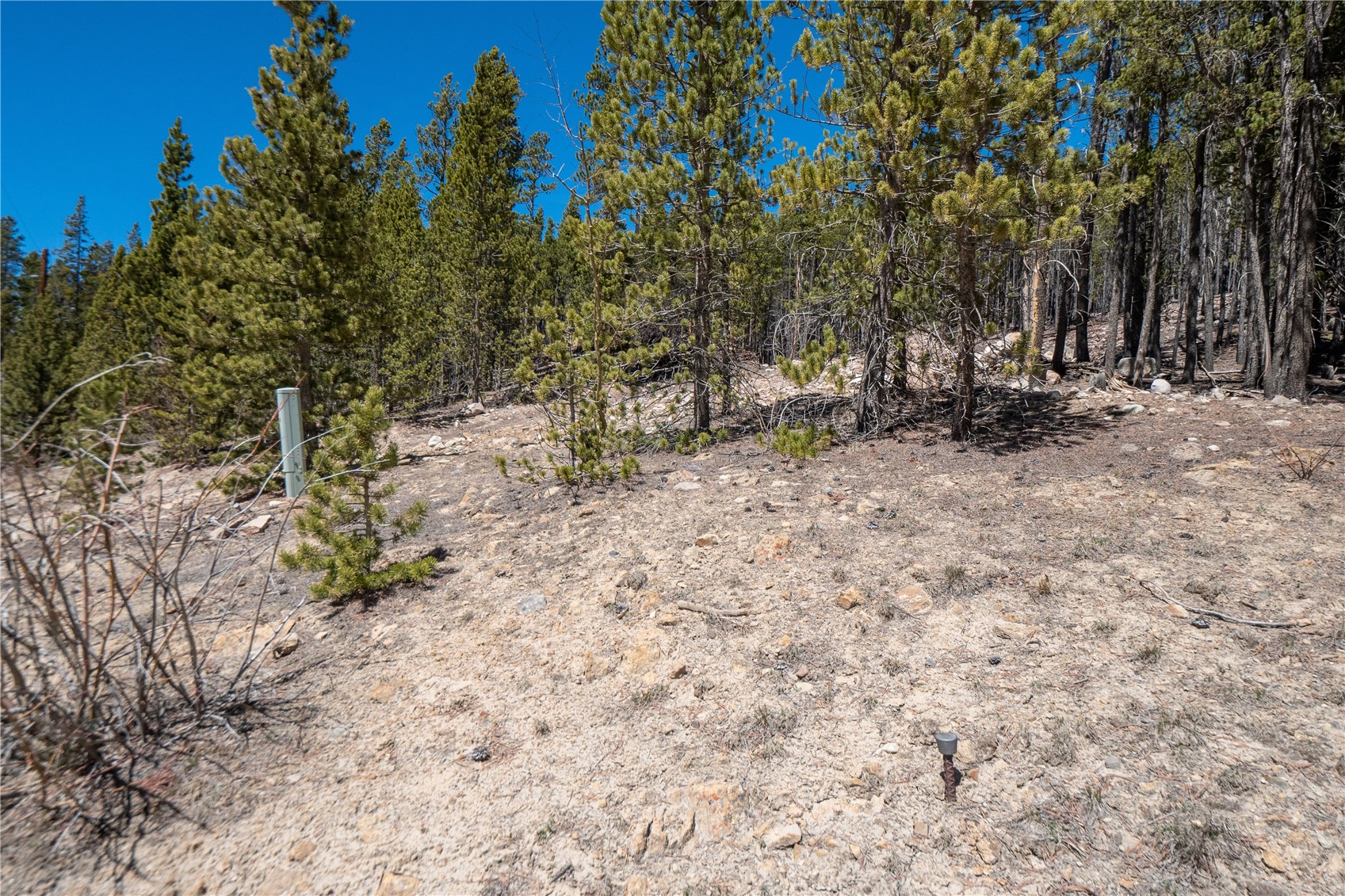 3149 Nugget ROAD