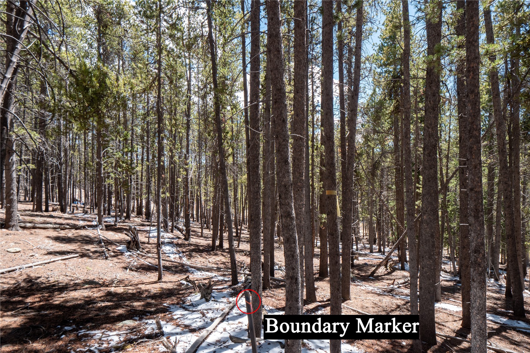 3149 Nugget ROAD