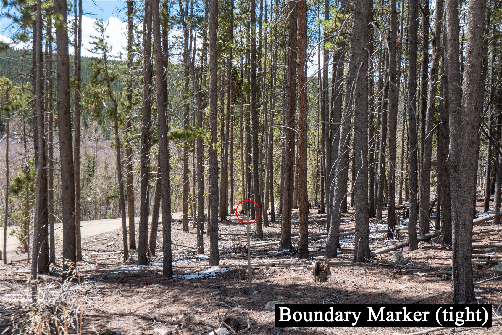 3149 Nugget ROAD
