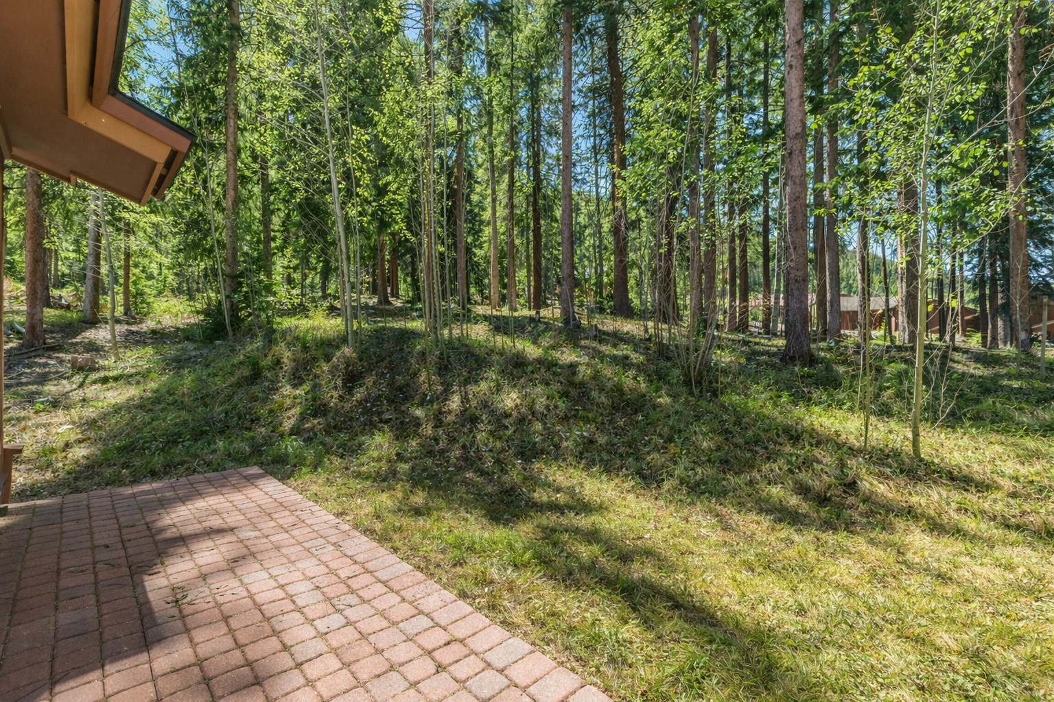 189 Tip Top TRAIL 6562