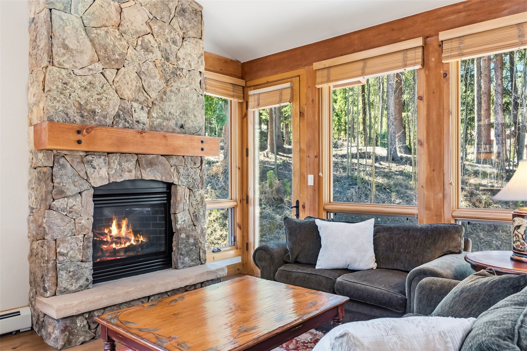 189 Tip Top TRAIL 6562