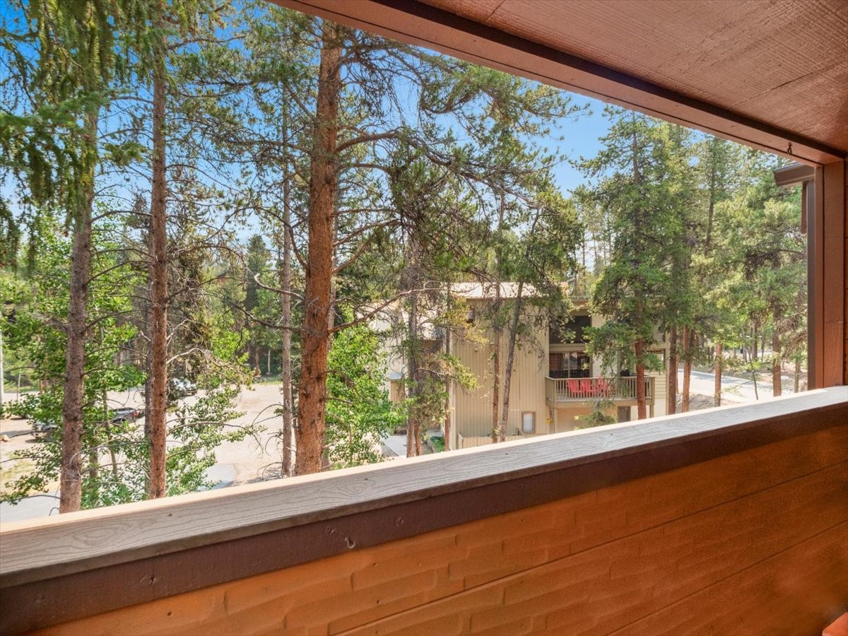 800 Columbine ROAD 11