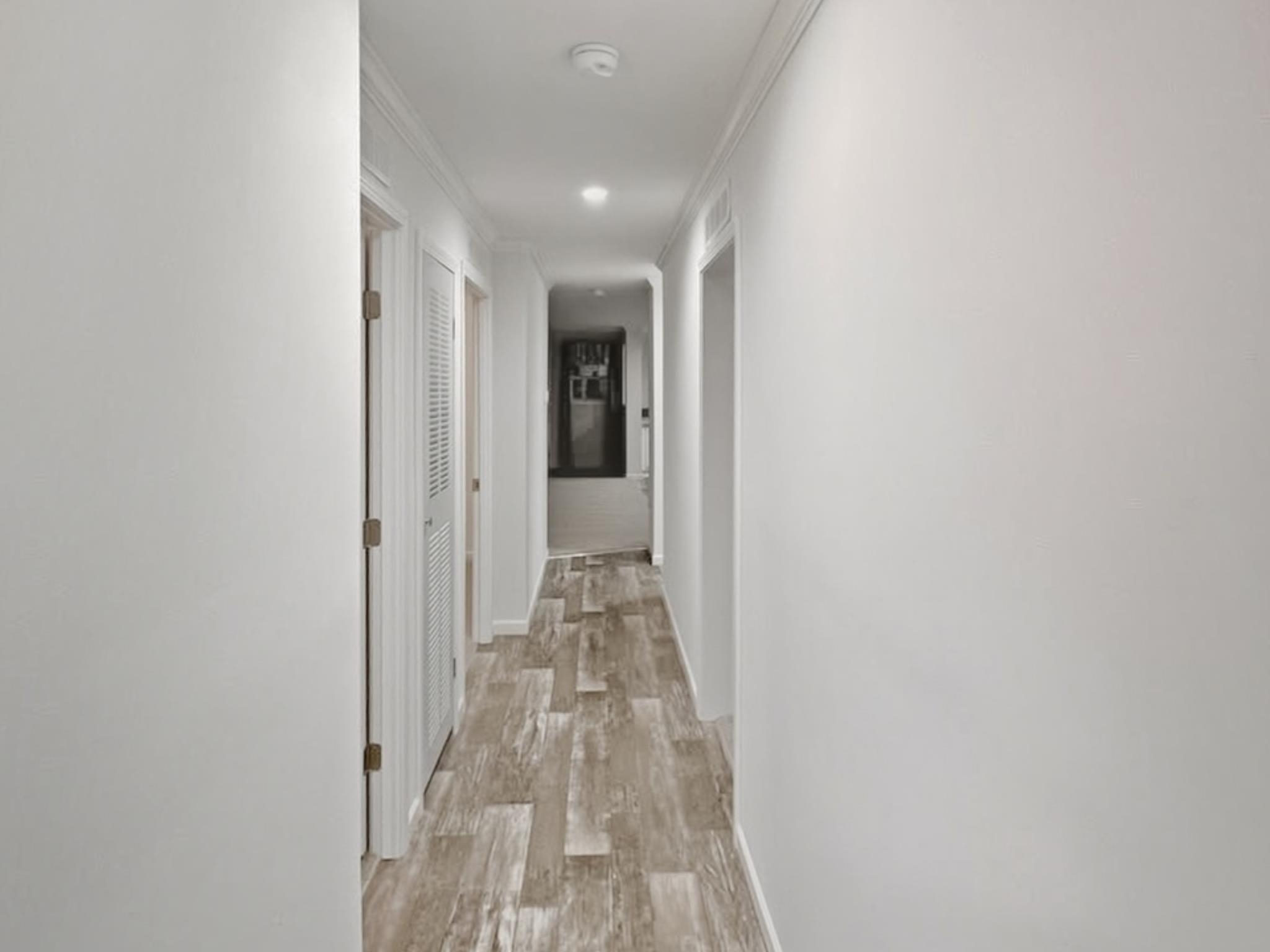 24 Adder Lane