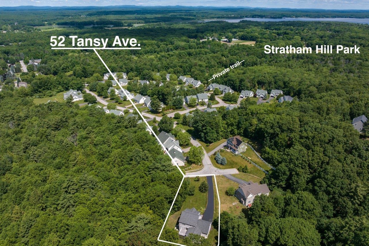 52 Tansy Avenue