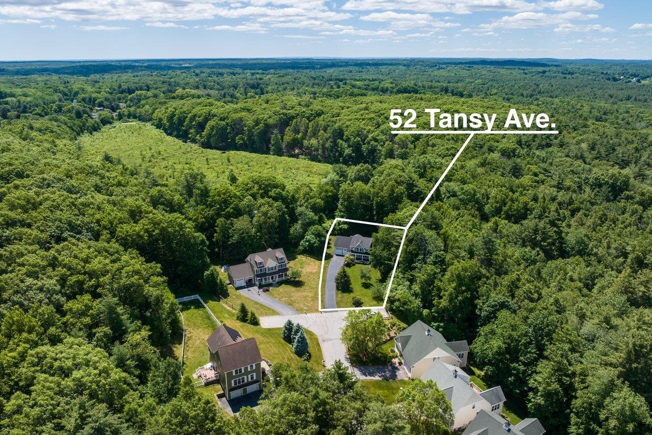 52 Tansy Avenue