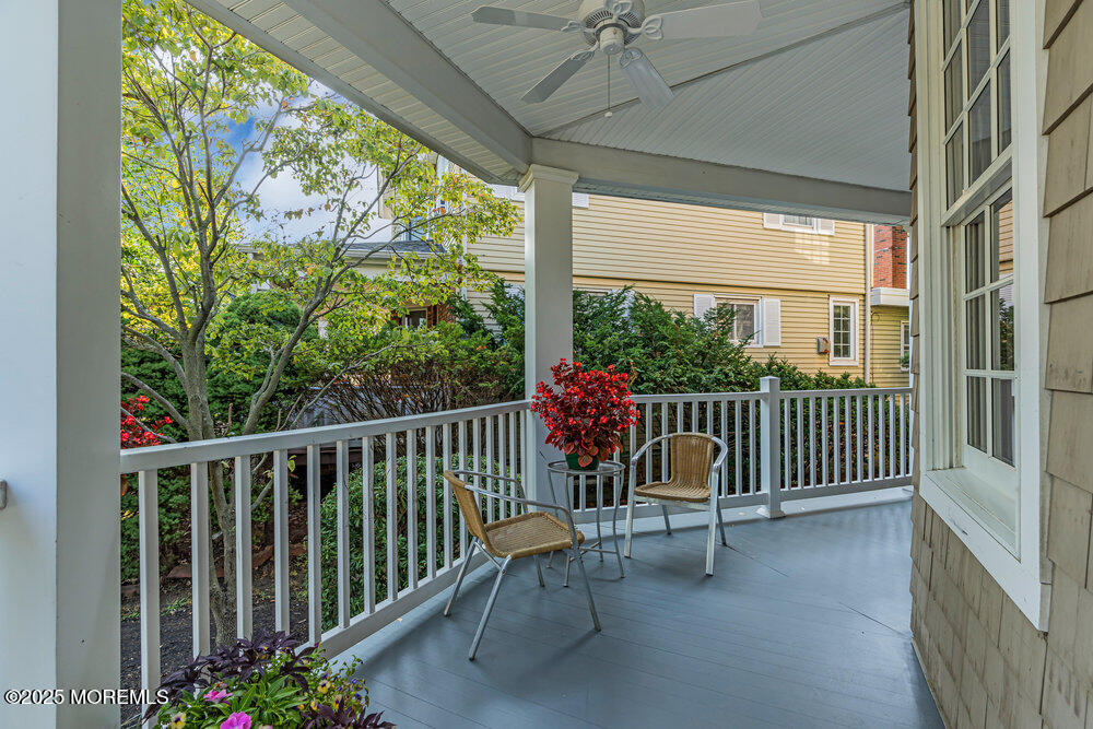 41 Peters Place
