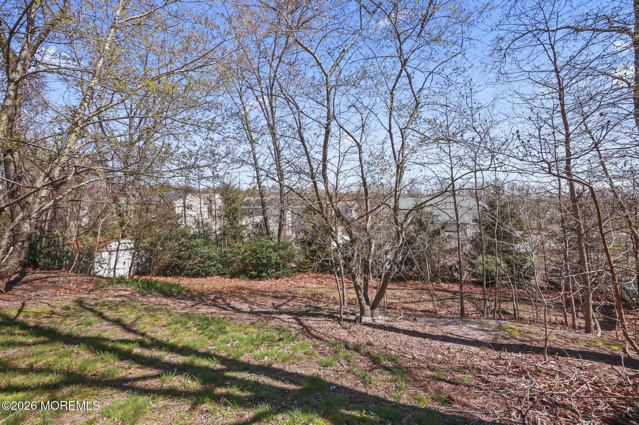 4 Spruce Road