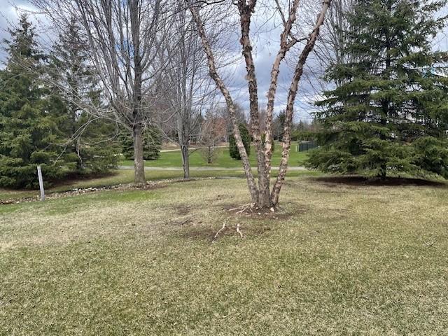 11620 Prospect Curve