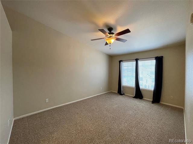 457 Black Feather Loop Unit: 710