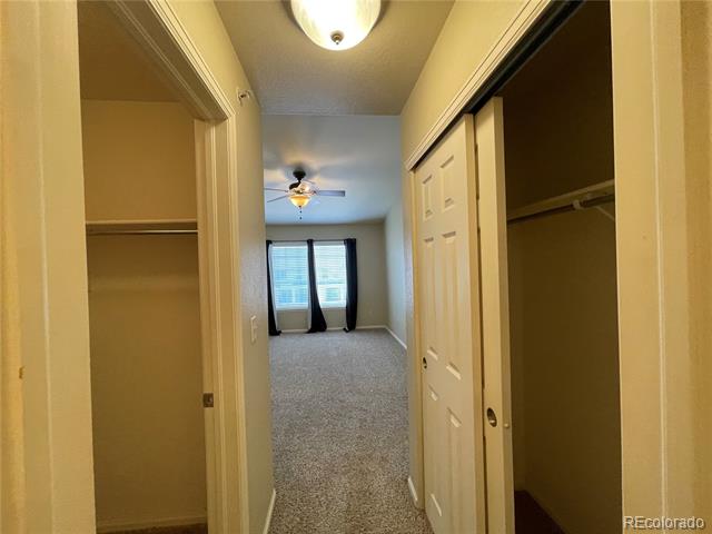 457 Black Feather Loop Unit: 710