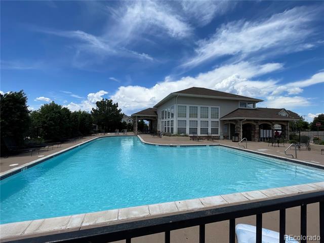 457 Black Feather Loop Unit: 710