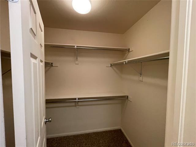 457 Black Feather Loop Unit: 710