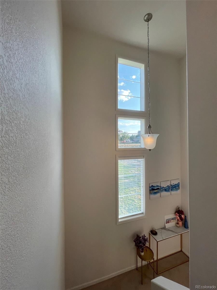 1584 Castle Creek Circle