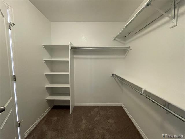 8405 Canyon Rim Trail