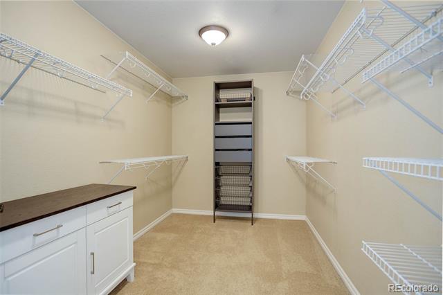 4749 Nighthorse Court