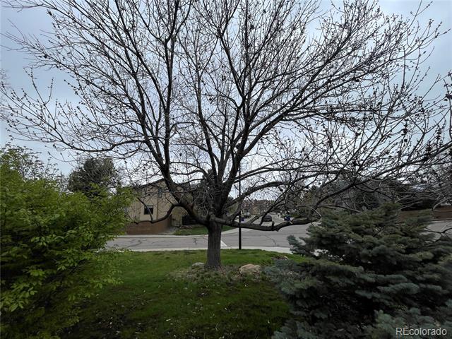 8758 Abderdeen Circle