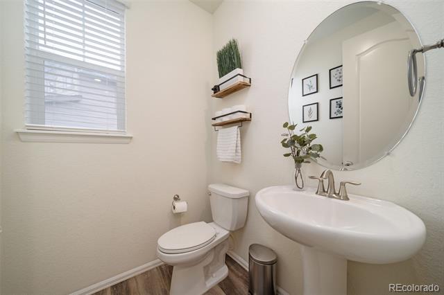 1208 Lanceleaf Court