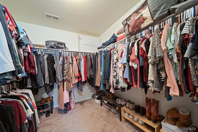 1208 Lanceleaf Court