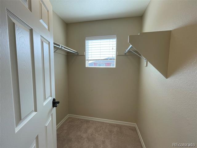 12206 Stone Timber Court