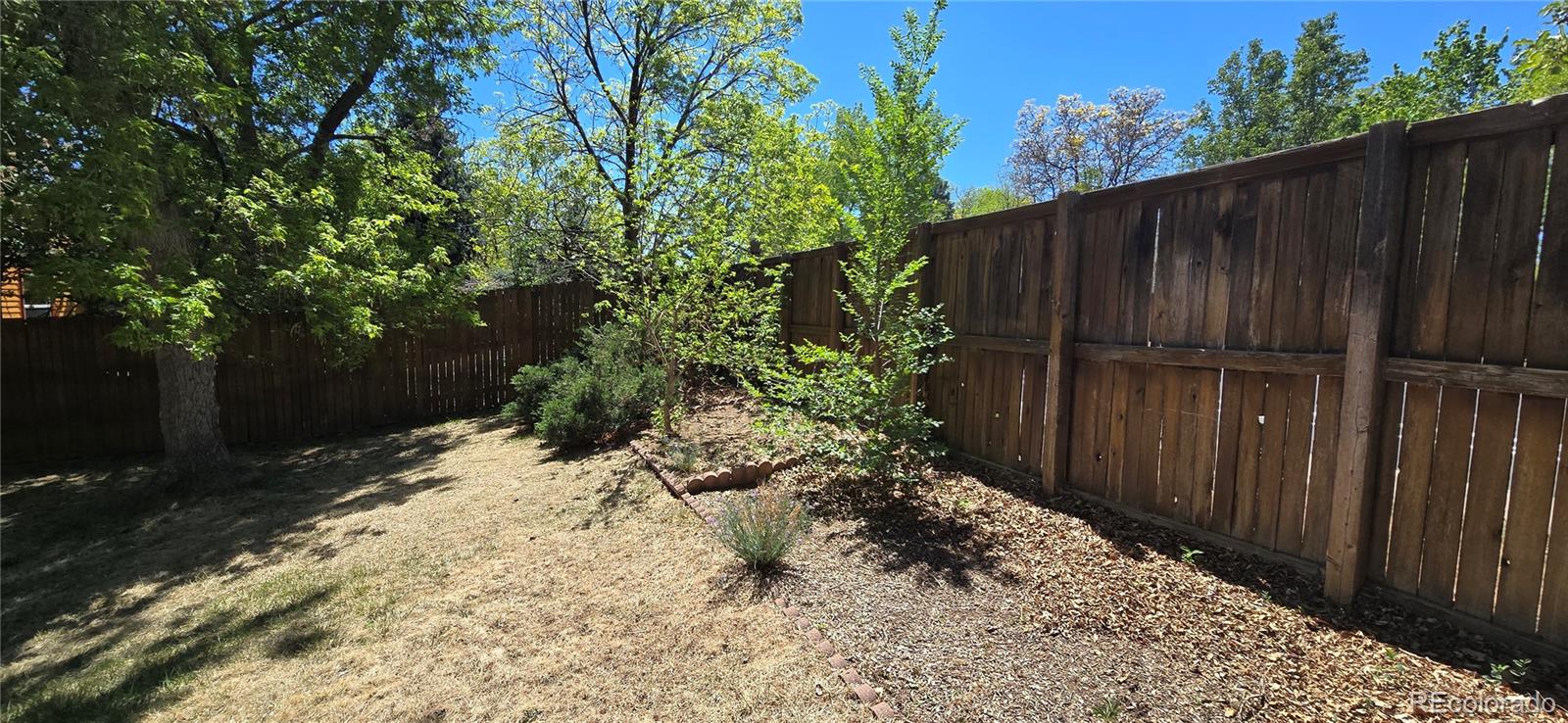 317 Grouse Court