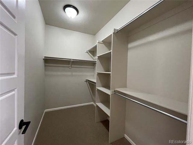 12285 Coral Burst Lane