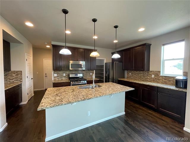 12285 Coral Burst Lane