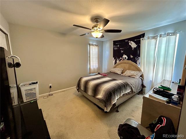 4897 Wolf Moon Drive