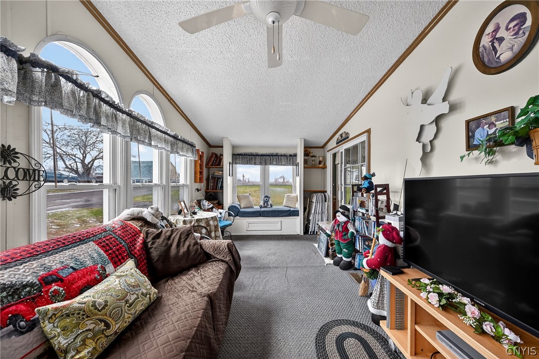 446 Kingdom Road