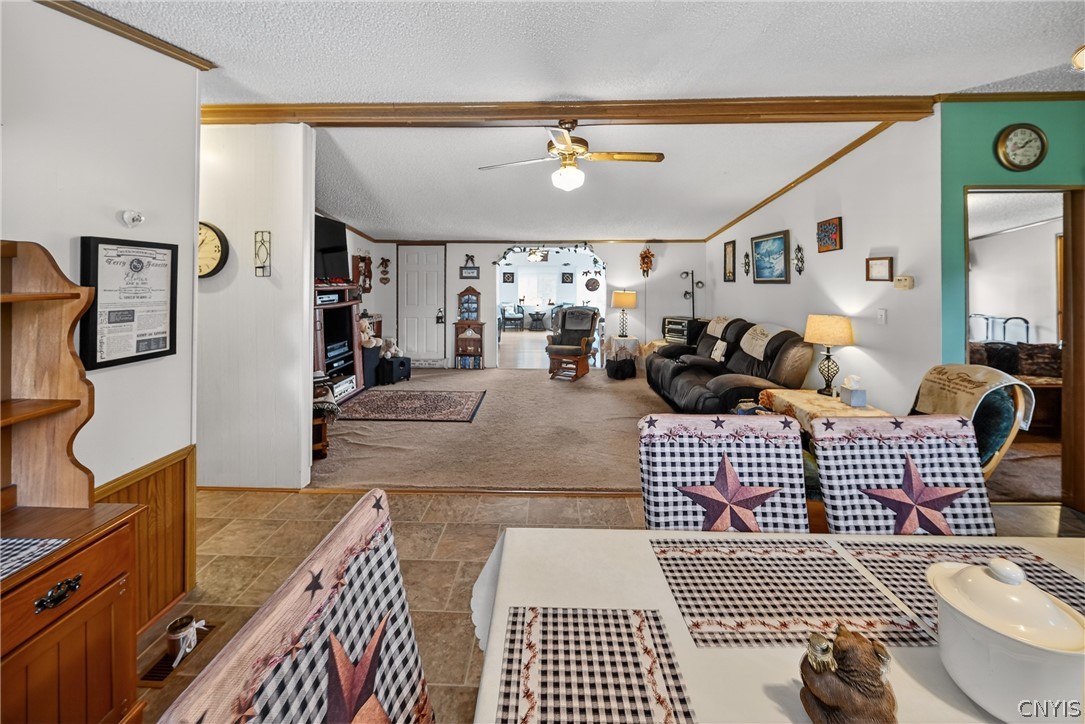 446 Kingdom Road