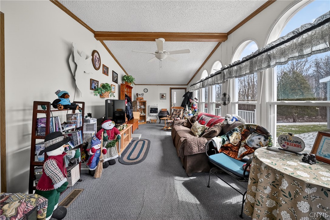 446 Kingdom Road