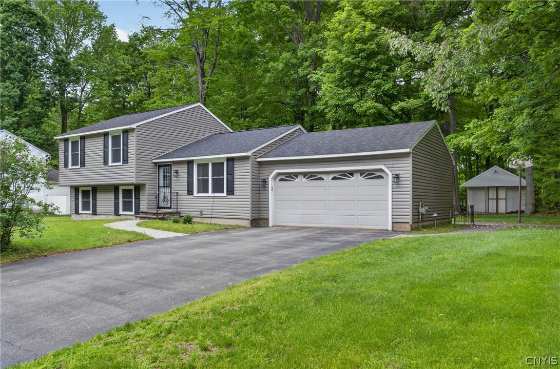 13 Ironwood