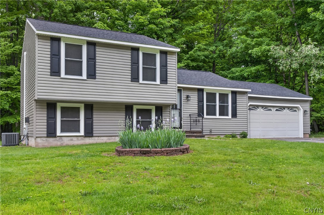 13 Ironwood