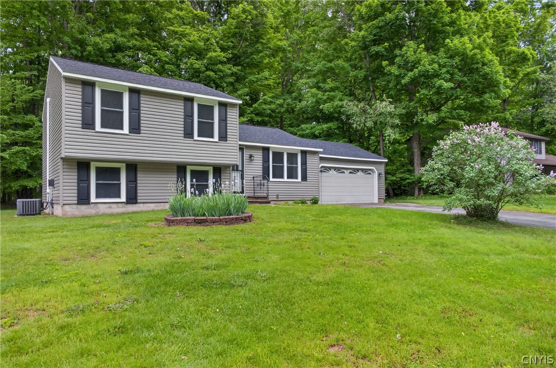 13 Ironwood