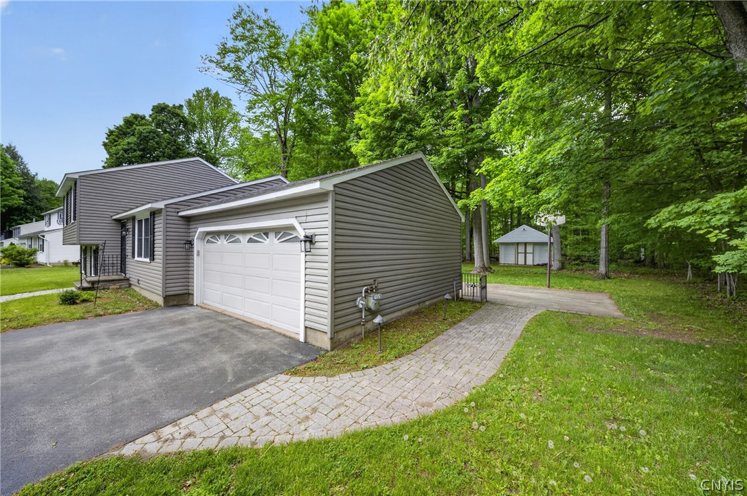 13 Ironwood