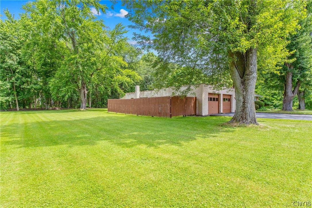 8252 Maple Road