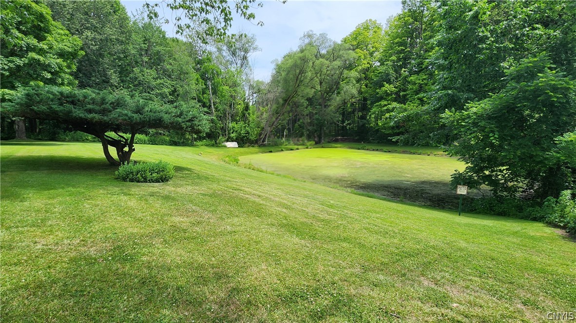 8252 Maple Road