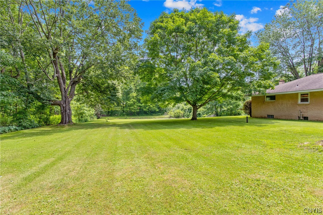 8252 Maple Road